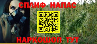 прущие грибы Ликино-Дулёво
