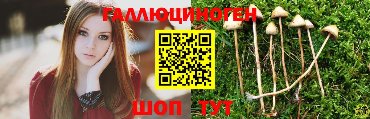 Галлюциногенные грибы мухоморы  Вход с VPN  Губкинский 