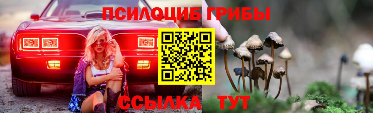 Галлюциногенные грибы ЛСД Губкинский